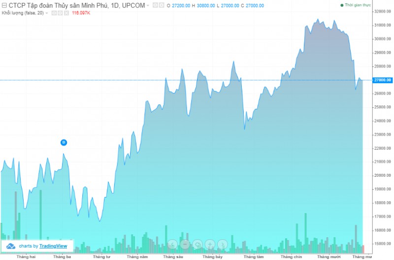 Thủy sản Minh Phú sắp chi 300 tỷ đồng trả cổ tức thuy san minh phu sap chi 300 ty dong tra co tuc