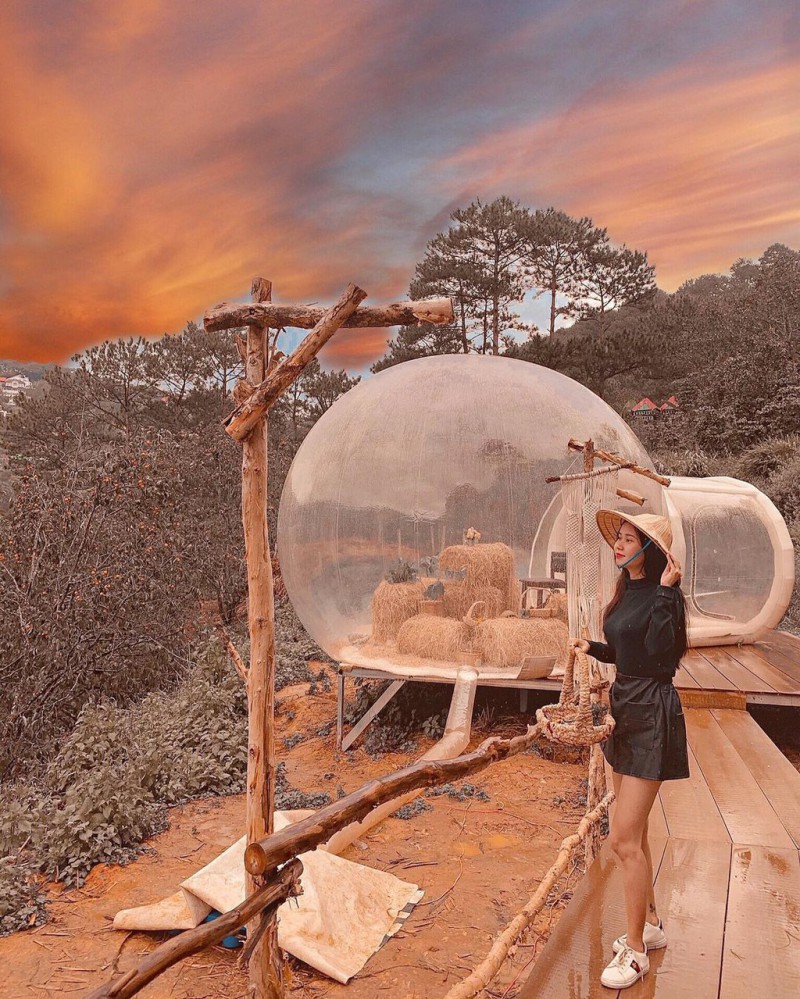 vườn hồng nhà Tom ảnh 8 vuon hong nha Tom anh 8