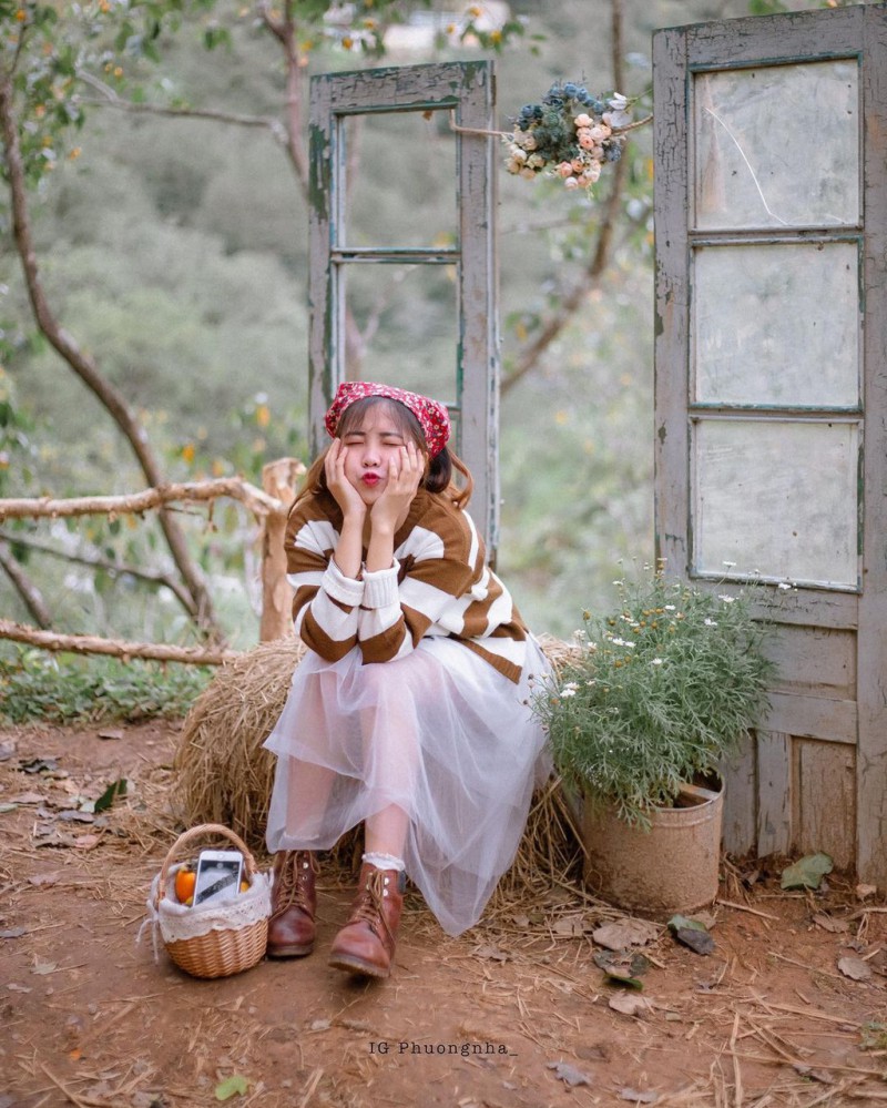 vườn hồng nhà Tom ảnh 6 vuon hong nha Tom anh 6