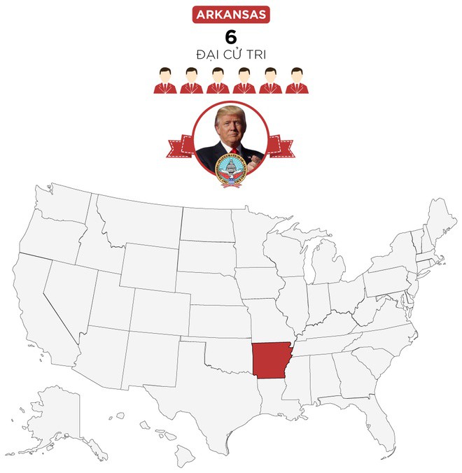 bau cu tong thong My 2020 anh 1