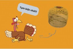 Câu chuyện con gà tây và bài học cắt lỗ trong đầu tư chứng khoán Câu chuyện con gà tây và bài học cắt lỗ trong đầu tư chứng khoán