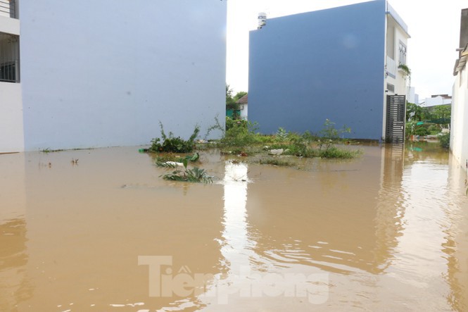 Bão tan nhưng dân phố biển Nha Trang vẫn bì bõm nơi nước ngập - Ảnh 4. Bão tan nhưng dân phố biển Nha Trang vẫn bì bõm nơi nước ngập - Ảnh 4.